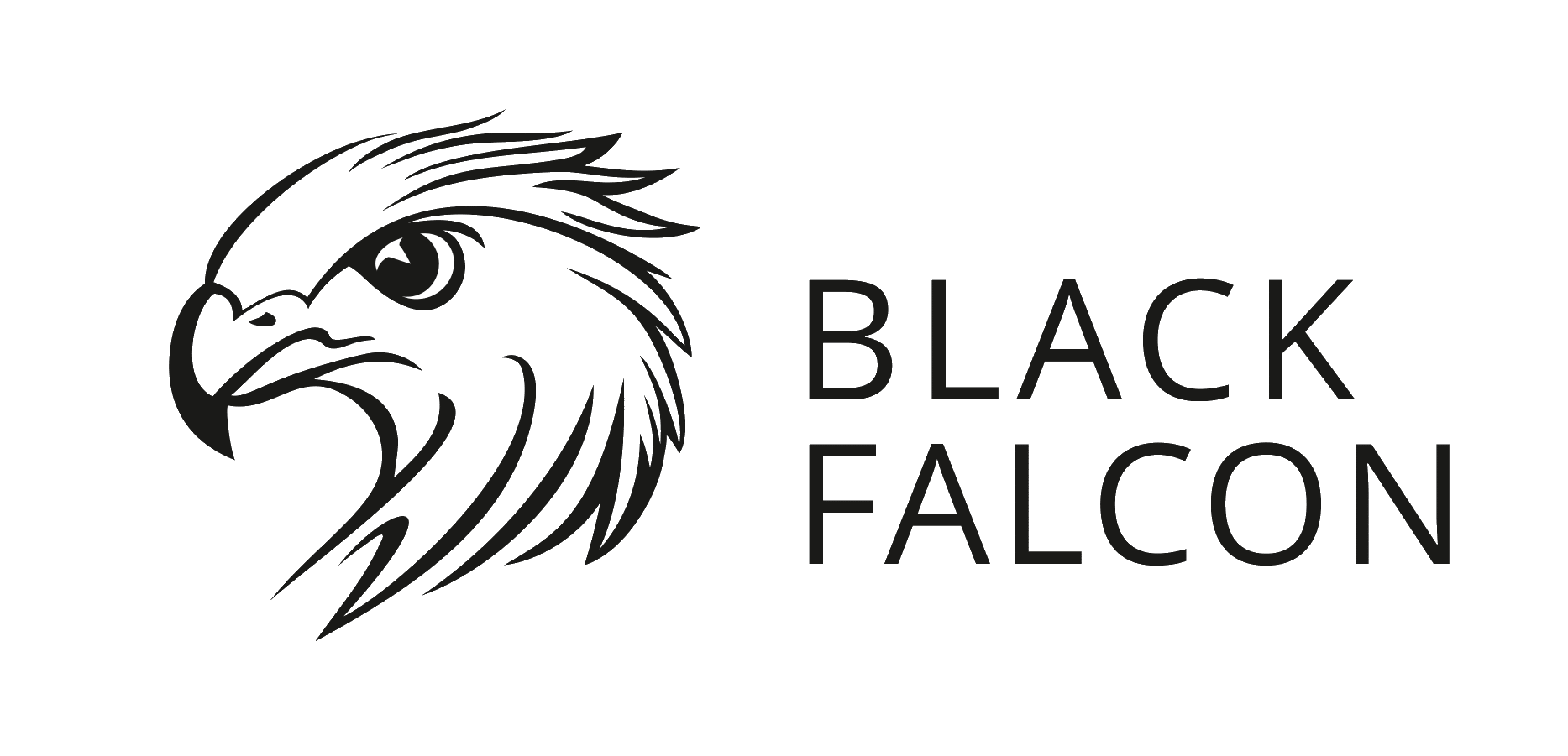 BLACK FALCON